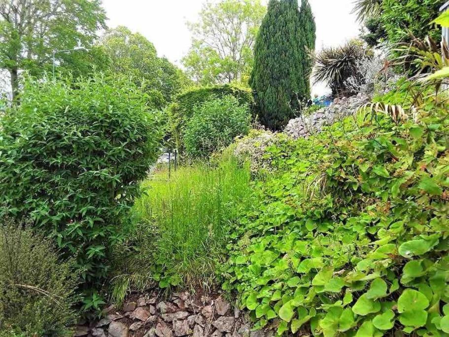 Riviera Retreat 10 Bedrooms 10 Bathrooms, Near Beach, 24 People Holiday home Torquay